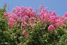 Недорогой отдых для неприхотливых