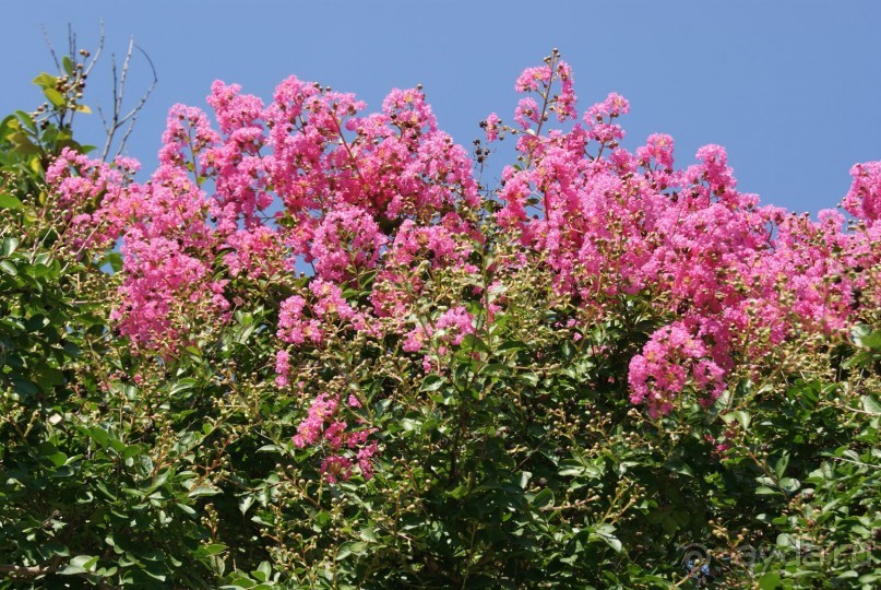 Недорогой отдых для неприхотливых