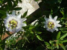 фото частный сектор