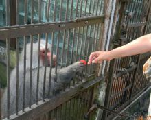 фото частный сектор