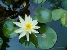 фото частный сектор