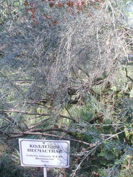 фото частный сектор