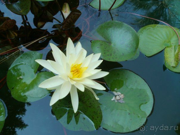 фото частный сектор