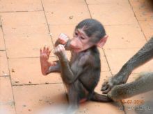 фото частный сектор