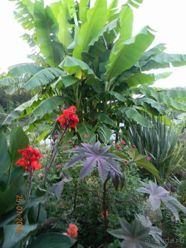 фото частный сектор