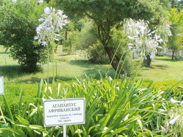 фото частный сектор