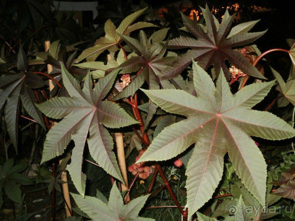 фото частный сектор