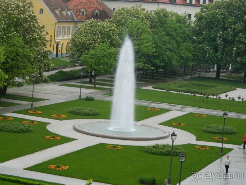 фото Stella Maris