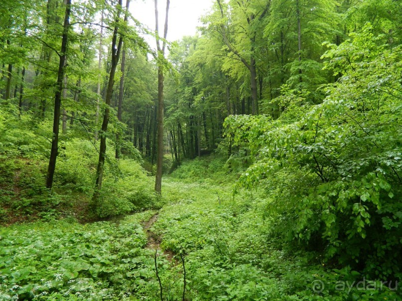 100% Экотуризм по родине Тито