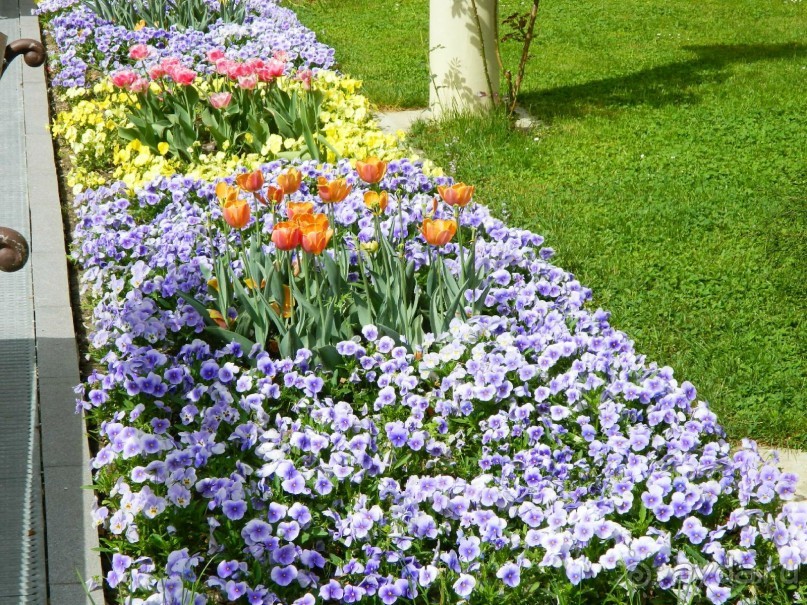 100% Экотуризм по родине Тито