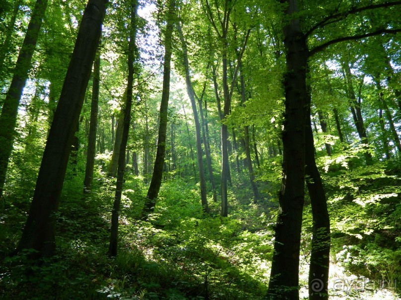 100% Экотуризм по родине Тито