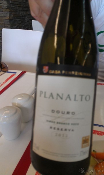 В объятиях Гольфстрима