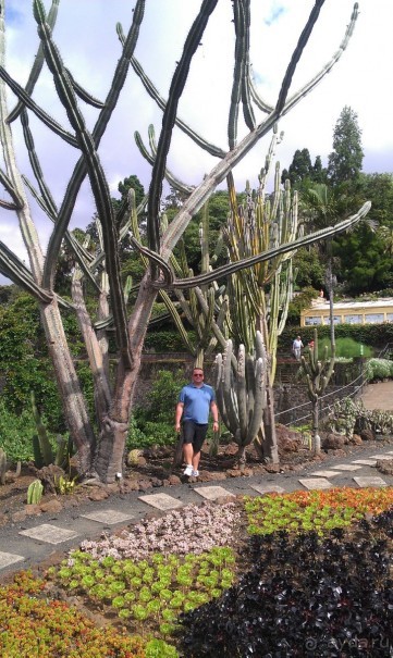 В объятиях Гольфстрима