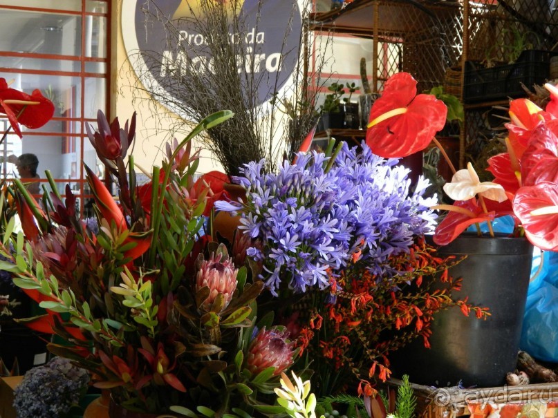 В объятиях Гольфстрима