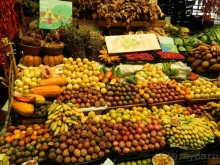 В объятиях Гольфстрима