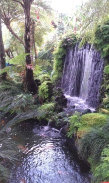 В объятиях Гольфстрима