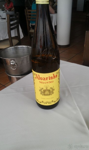 В объятиях Гольфстрима