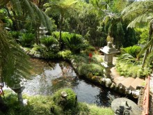 В объятиях Гольфстрима