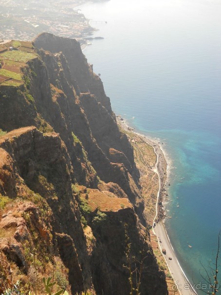 В объятиях Гольфстрима