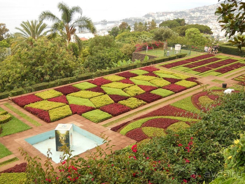 В объятиях Гольфстрима