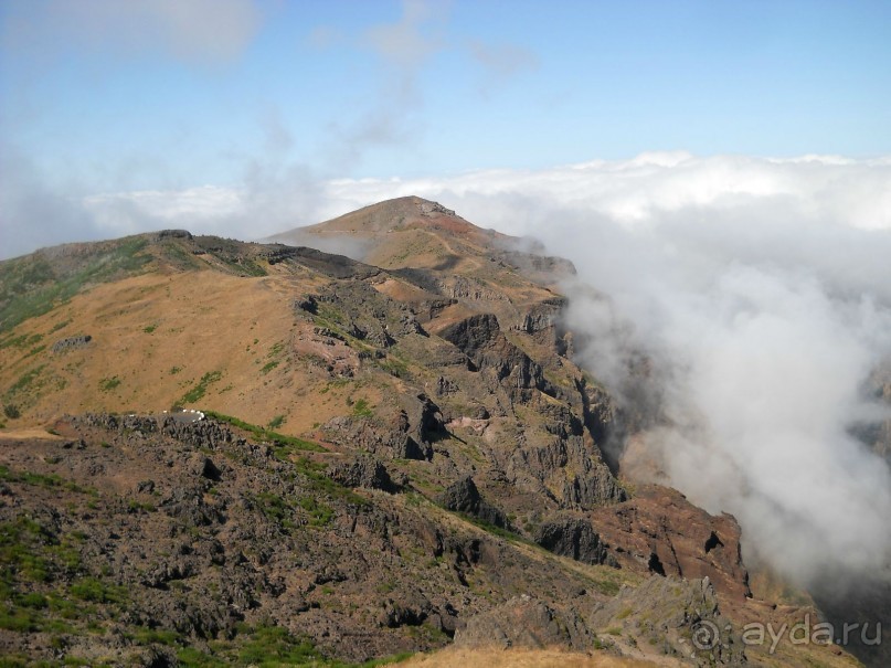 В объятиях Гольфстрима