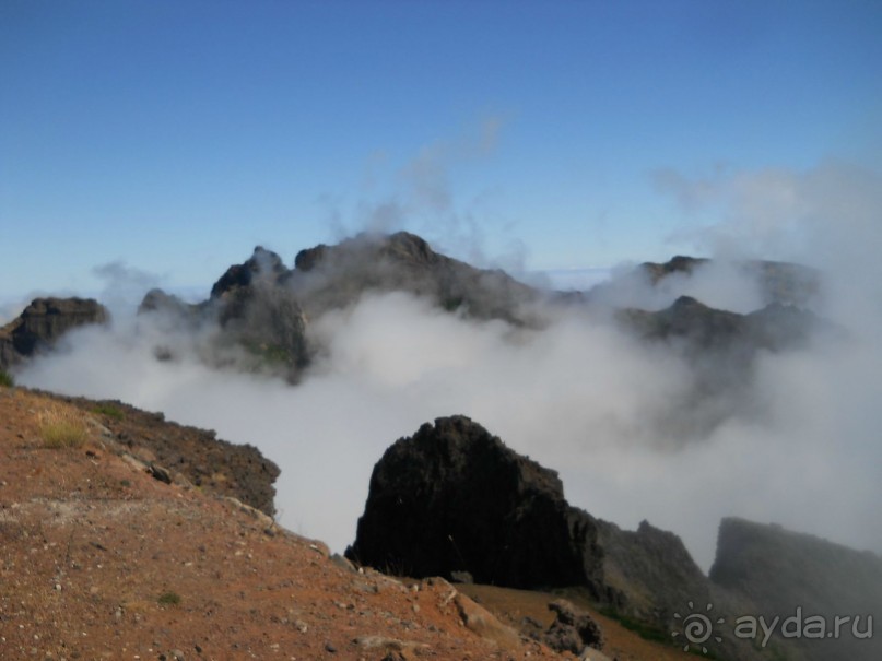 В объятиях Гольфстрима