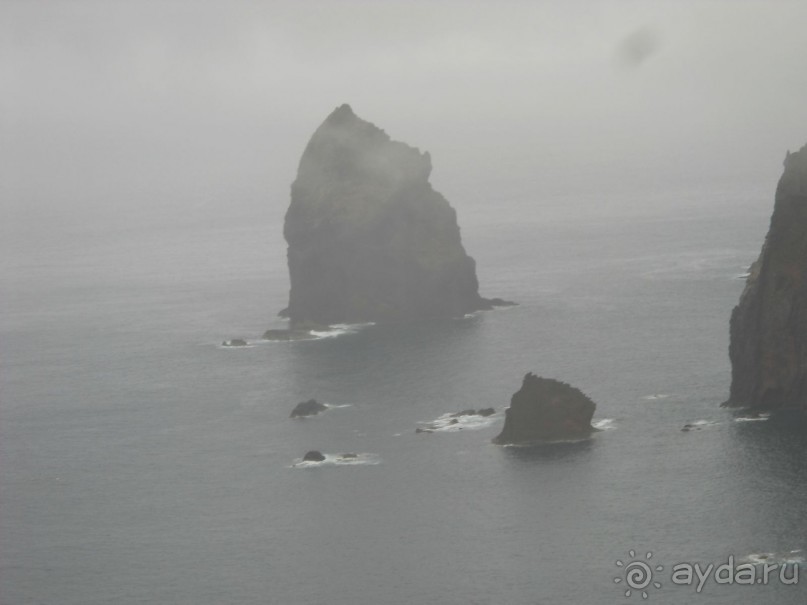 В объятиях Гольфстрима