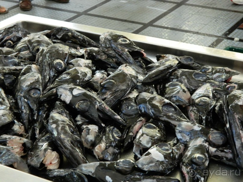 В объятиях Гольфстрима