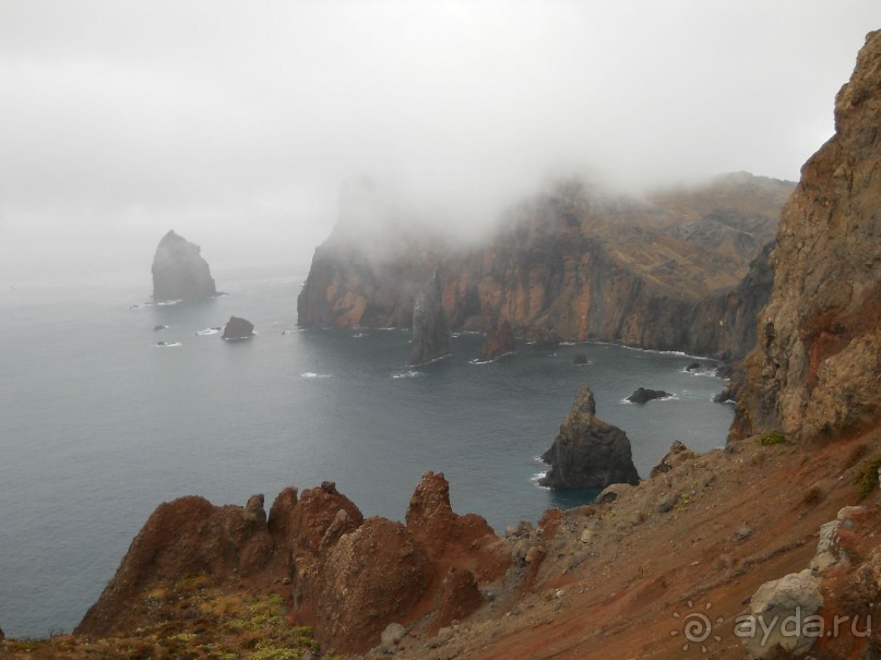 В объятиях Гольфстрима