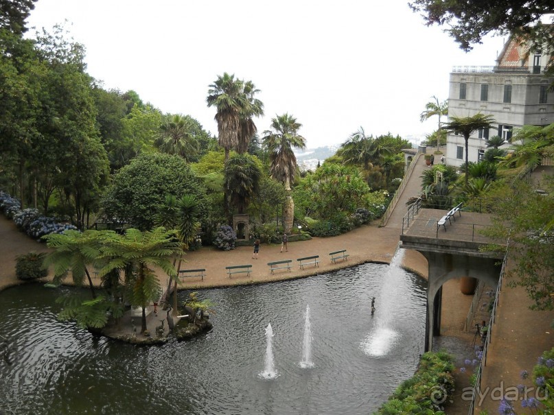 В объятиях Гольфстрима