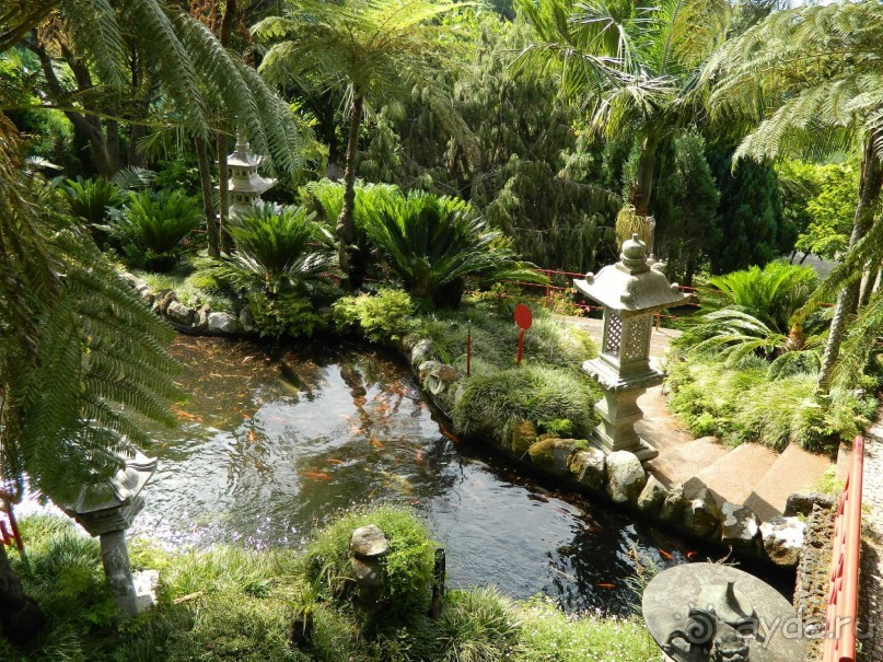 В объятиях Гольфстрима