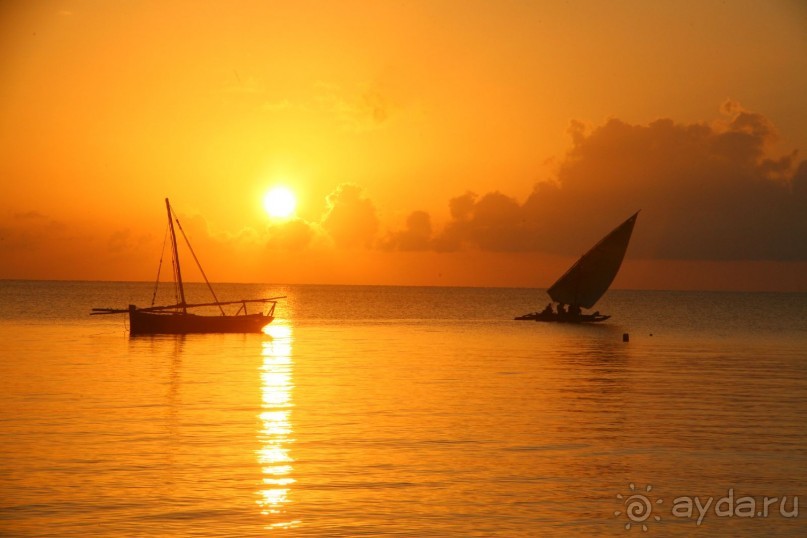 Песнь морского утра