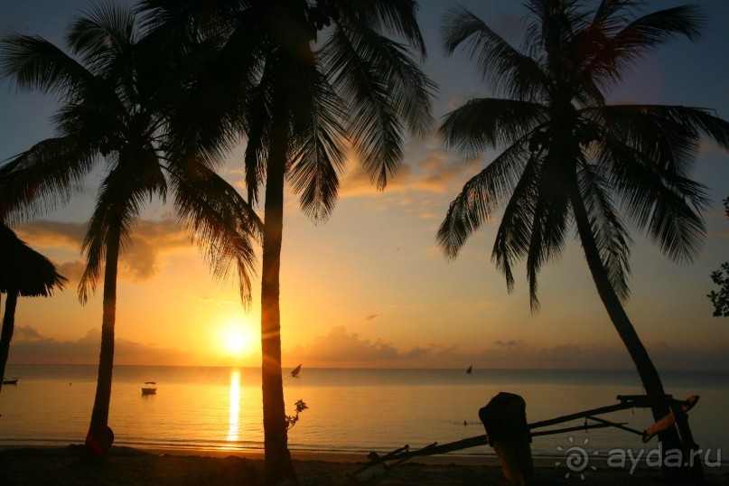 Песнь морского утра