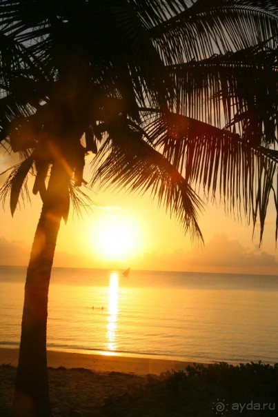 Песнь морского утра