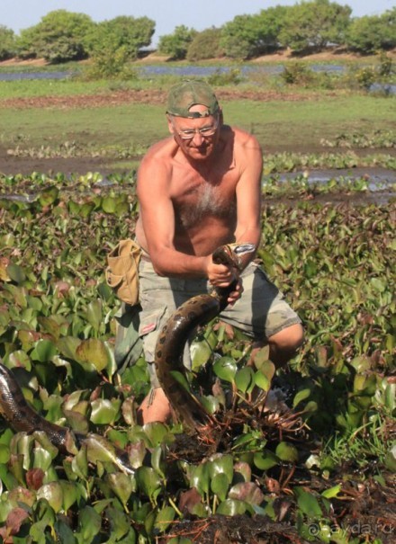 Как я ловил Анаконду!