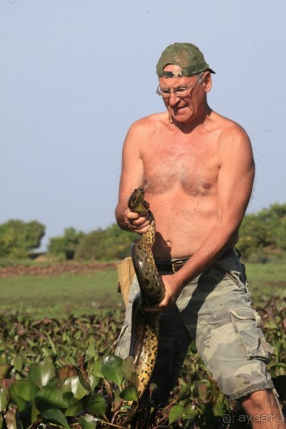 Как я ловил Анаконду!