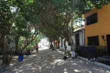 Архипелаг Лос Рокес, Карибы