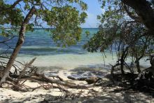 Архипелаг Лос Рокес, Карибы