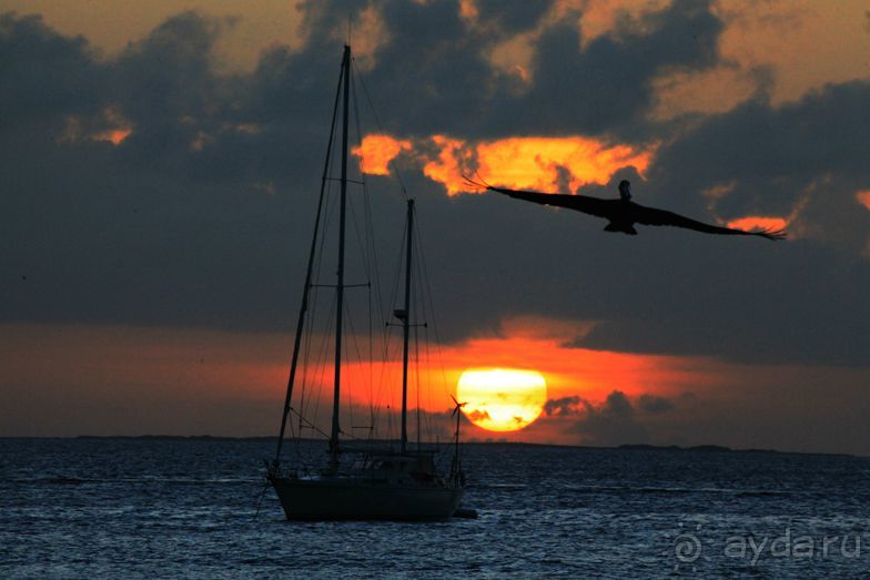 Архипелаг Лос Рокес, Карибы