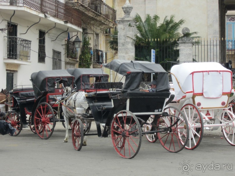 Отель понравился!!!