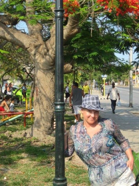 Отель понравился!!!