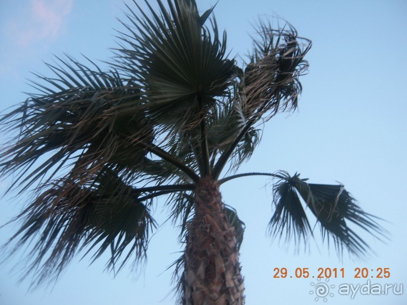 Сладкие воспоминания!!!