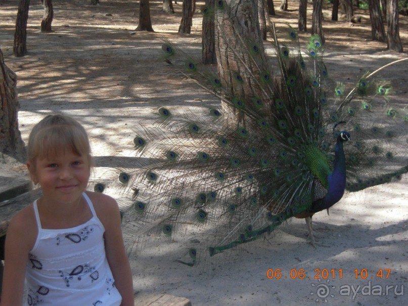 Сладкие воспоминания!!!