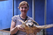 фото Koggala Beach