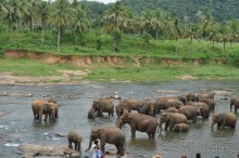фото Koggala Beach