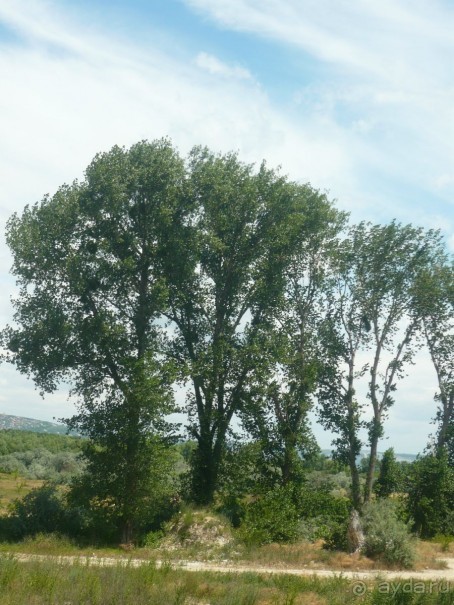 БОЛГАРИЯ