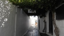 фото Eskalade