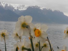 Два в одном флаконе. Экскурсионный тур  Италия-Швейцария