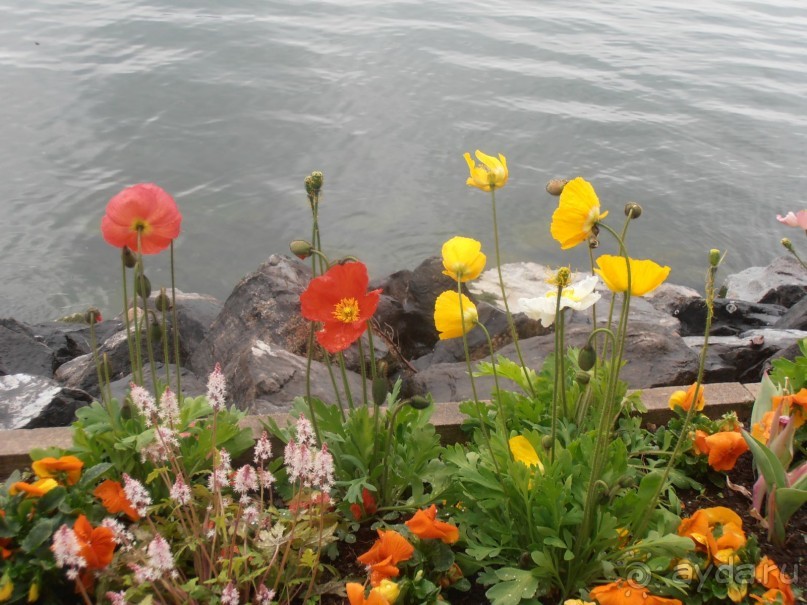 Два в одном флаконе. Экскурсионный тур  Италия-Швейцария