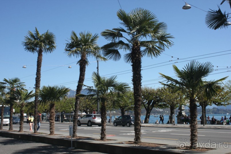 Два в одном флаконе. Экскурсионный тур  Италия-Швейцария